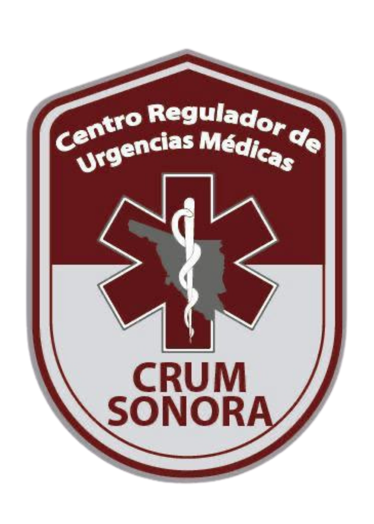 Logo CRUM Sonora